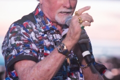 The Beach Boys 2019
