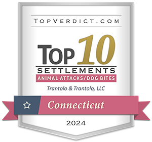 Top-Verdict-NY-2024 - Mike Snellings - Trantolo & Trantolo